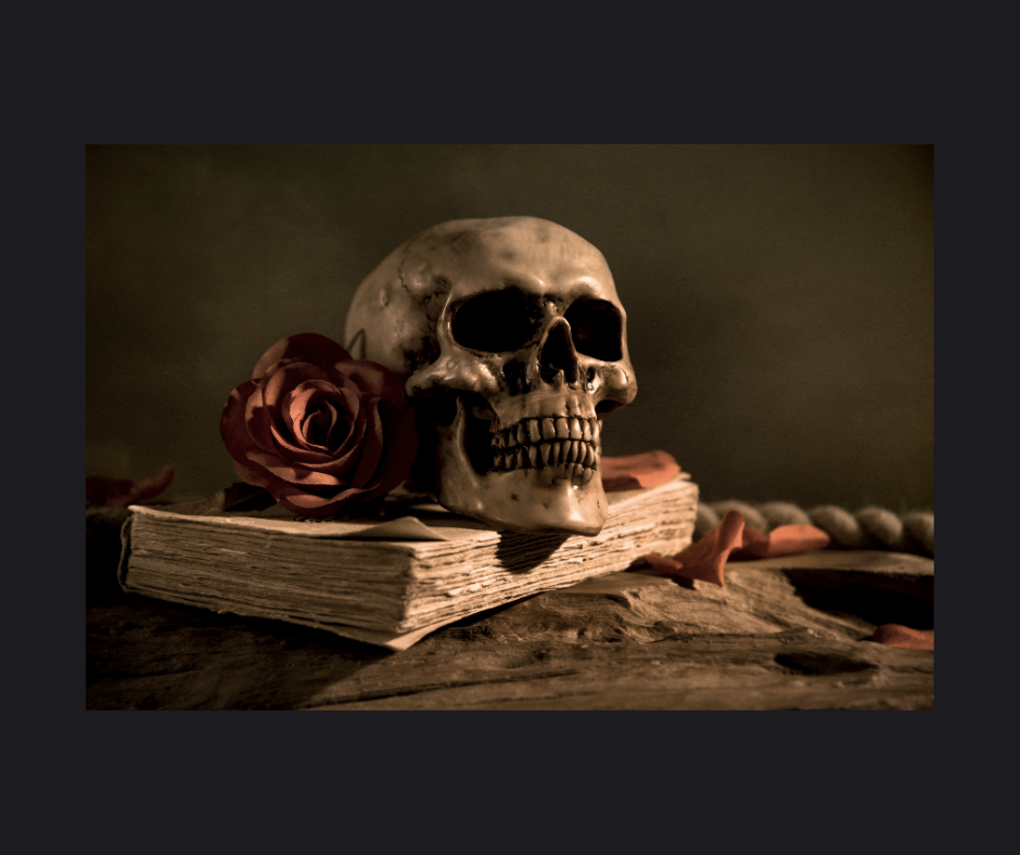 skull on book photo